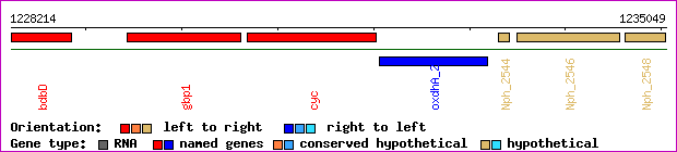 gene map