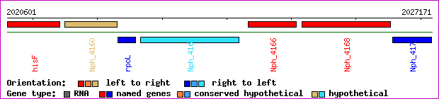 gene map