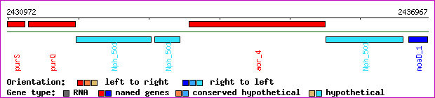 gene map
