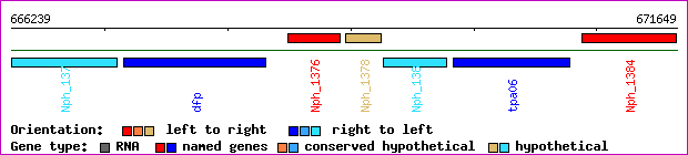 gene map