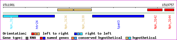 gene map