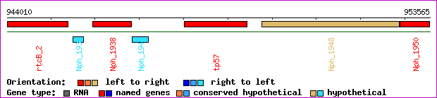 gene map
