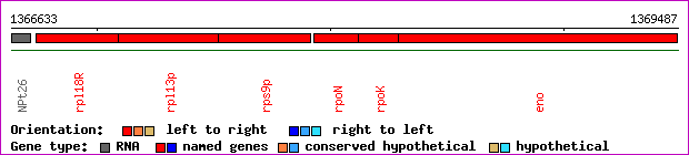 gene map