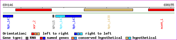 gene map