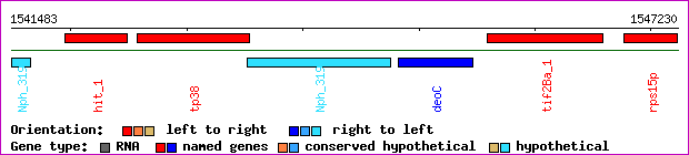 gene map
