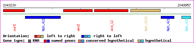 gene map