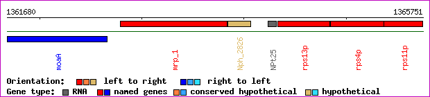 gene map