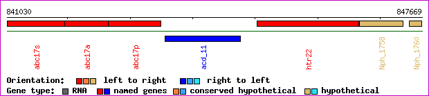 gene map