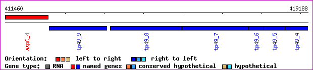 gene map