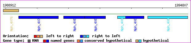 gene map