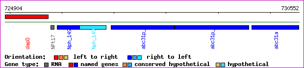 gene map