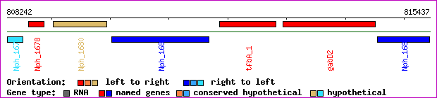 gene map