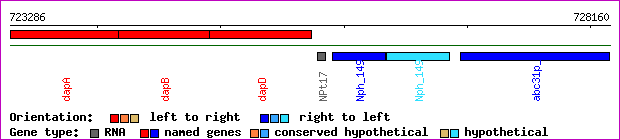gene map