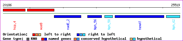 gene map