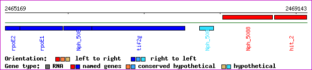 gene map
