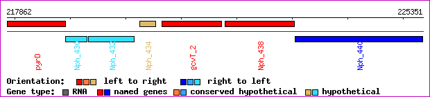 gene map