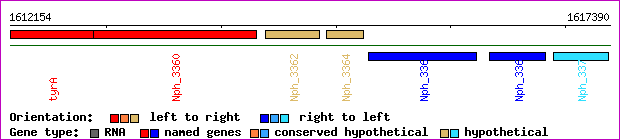 gene map