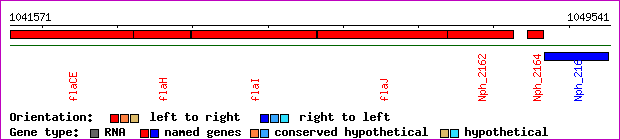 gene map