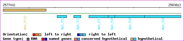 gene map