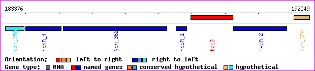 gene map