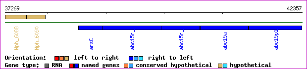 gene map