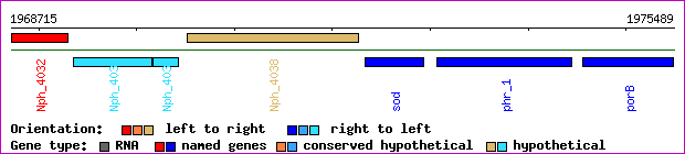 gene map