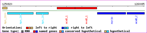 gene map