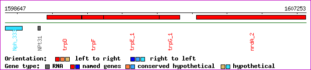 gene map