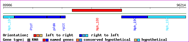 gene map