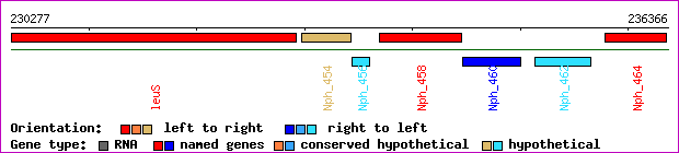 gene map