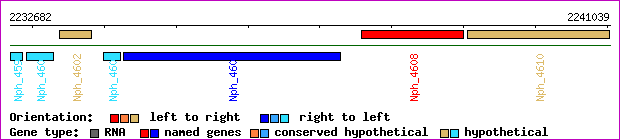 gene map