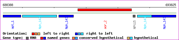gene map