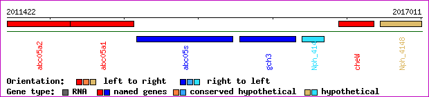 gene map