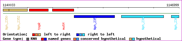 gene map