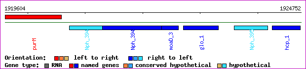 gene map