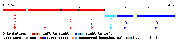 gene map