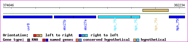 gene map