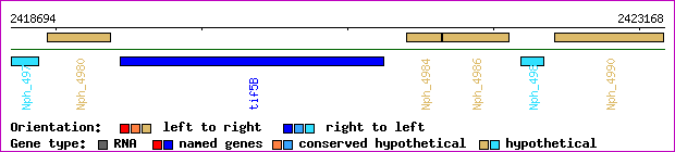 gene map
