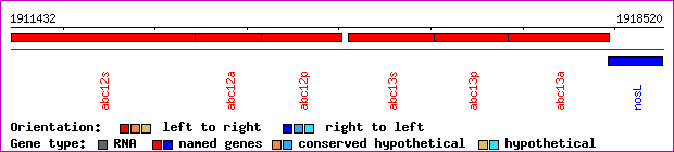 gene map
