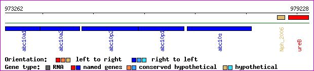 gene map
