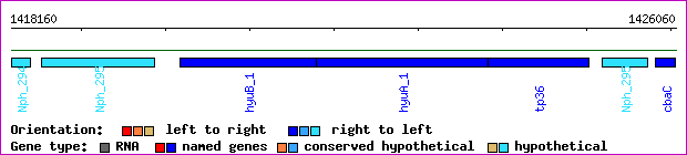 gene map