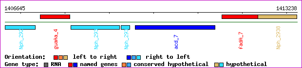 gene map