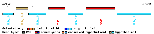 gene map