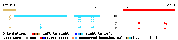 gene map