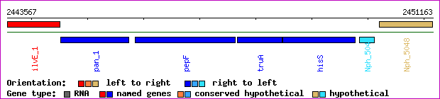 gene map