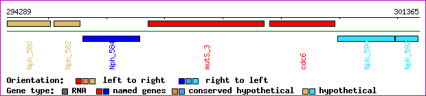 gene map