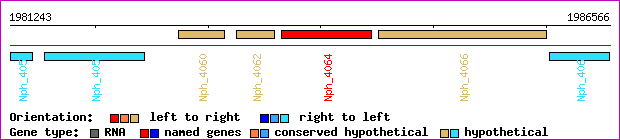gene map
