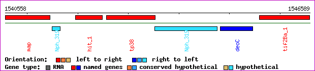 gene map