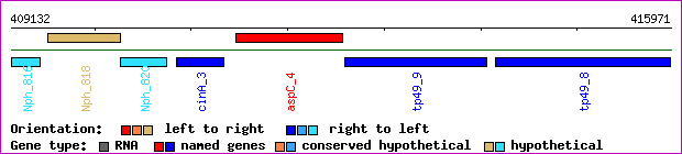 gene map