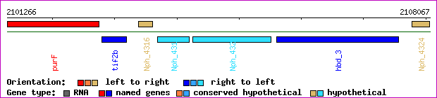 gene map